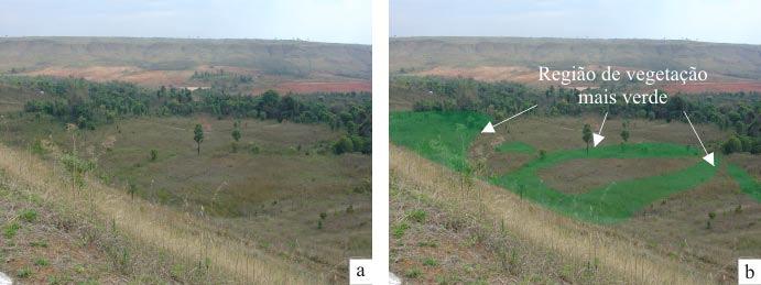 Figura 5.8 Região a jusante da barragem: a) Vista geral; b) indicativo dos caminhos preferenciais da água percolada através do maciço e fundações.