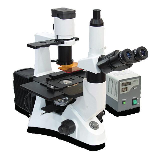 Microscópio Biológico Invertido Ótica Infinita e Contraste de Fases com kit de Fluorescência BIO-INVERT-FLUO-BI Os microscópios