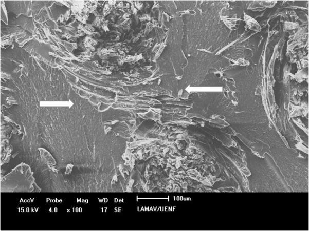 6 (a), que mostra a micrografia da superfície de fratura do material após a realização do ensaio de impacto. Figura 6: Micrografia da superfície de fratura do compósito após o ensaio de impacto Izod.