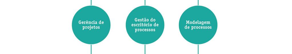 Os elementos da organização