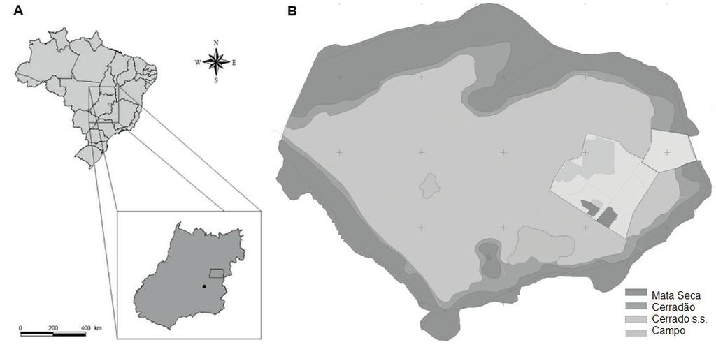Figura 1 - (A) Localização do município de Silvânia, Goiás, Brasil. (B) Distribuição das fitofisionomias na área da Floresta Nacional de Silvânia, Goiás, Brasil.