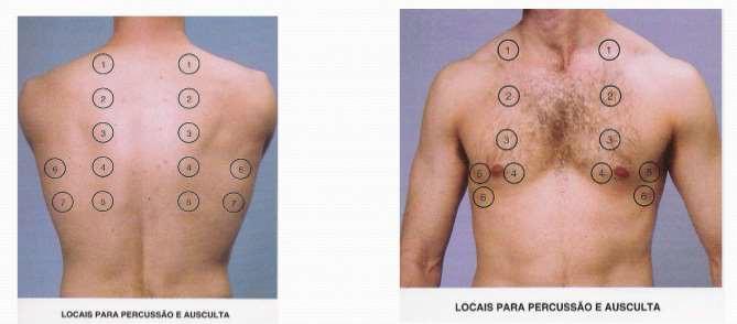 1 2 3 4 Ausculta Avaliar o movimento do ar; Detectar a presença de obstrução de vias respiratórias; Sons respiratórios