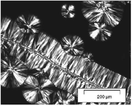 A morfologia transcristalina, algumas vezes observada, é caracterizada por uma alta densidade de cristais formados a partir da superfície das cargas, inibindo o crescimento radial dos cristais e