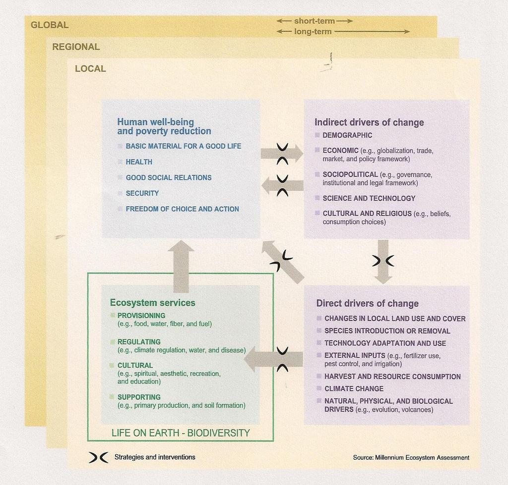 4 1 3 2 Changes in drivers that indirectly affect biodiversity, such as population, technology, and lifestyle can lead to changes in drivers directly affecting biodiversity, such as the catch of fish