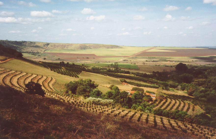 perda e degradação de habitats e ecossistemas perda/alteração de estrutura perda/alteração de