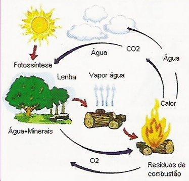 complexas Ciclo do carbono