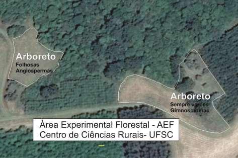 INTRODUÇÃO A Universidade Federal de Santa Catarina possui uma área experimental florestal, localizada próximo às margens da BR 470, no município de Curitibanos.