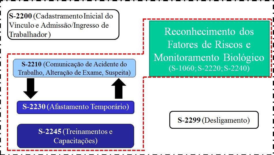 Desta forma, o fluxo das informações de SST no esocial é estruturado da seguinte maneira: No grupo de Reconhecimento dos Fatores de Risco e Monitoramento Biológico, destacado no fluxo acima, estão