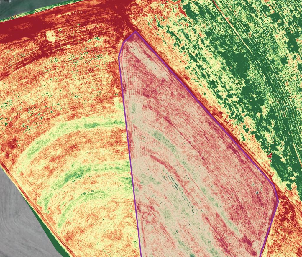 BIOMASSA (SAÚDE VEGETAL) ENTREGA: Arquivo shape e mapa dividido em 5 classes com a variabilidade no desenvolvimento da lavoura. BENEFÍCIOS: 1. 2. 3. 4.