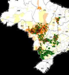 Soja Milho Safrinha