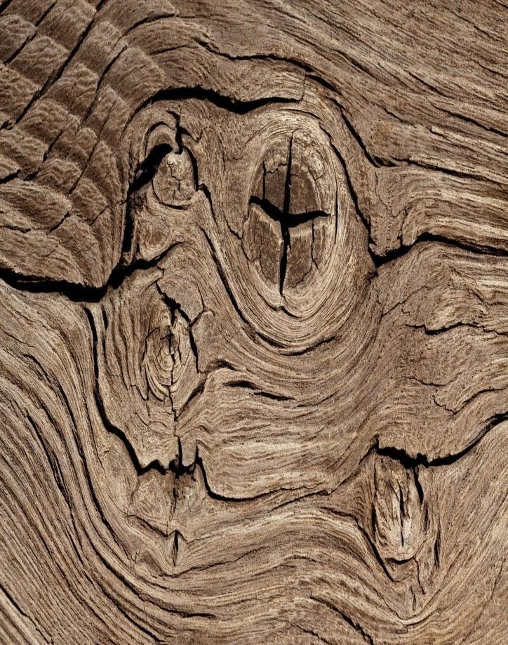 Principais defeitos da madeira: CRITÉRIOS DE CONTROLE Nós. Imperfeição da madeira nos pontos dos troncos onde existiam galhos.