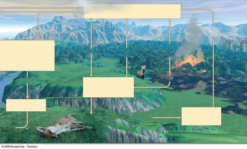 Atmosfera (a maior parte do carbono está na forma de CO 2 ) Atividade Vulcânica Queima de Combustíveis fósseis Rochas terrestre Fotossíntesse Respiração aeróbia Combustão de madeira (para limpar a