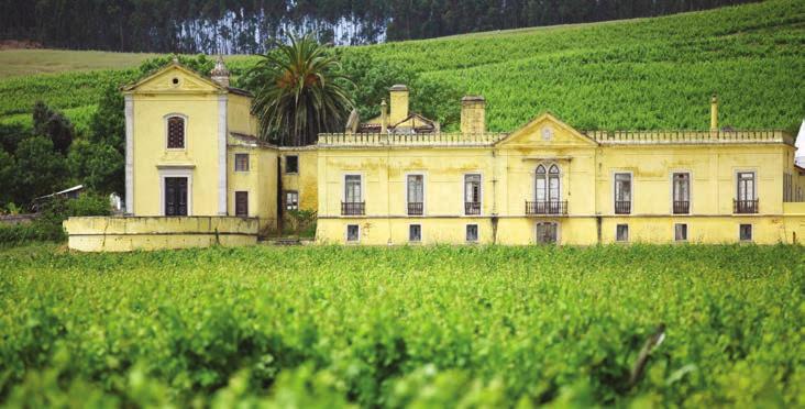 do Cadaval, pertença da empresa especializada na produção e seleção de vinhos de qualidade, Parras Wines.