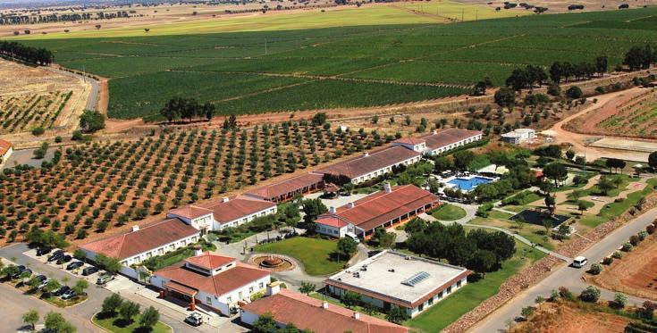 - GALERIA DO PRODUTOR Casa de Santa Vitória Fundada em 2002, a Casa de Santa Vitória está focada para a produção e comercialização de vinhos e azeites