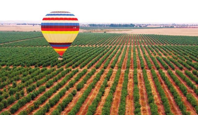 A herdade conta com cerca de 127 hectares de vinha, possuindo também uma Adega equipada com as mais modernas tecnologias que ocupa de 5.