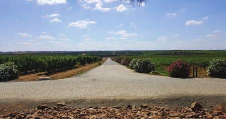 São cerca de 52 hectares de terrenos franco-argilosos, beneficiados pela amenidade do clima que a Barragem do Maranhão propicia, e que se reflete na qualidade e excelência dos vinhos.