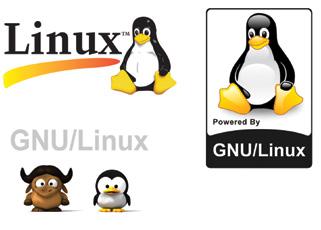 1 LINUX PARA SERVIDORES 1.1 Identificando o Linux para servidores Neste tópico serão apresentados os conceitos básicos de um Sistema Operacional Linux.