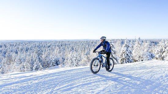 Nacional de Urho Kekkonen, ao redor de Saariselka. Esta tarde estará à disposição pessoal, no entanto, recomendamos vivamente que desfrute de uma sauna, bem à moda finlandesa, disponível no seu hotel.