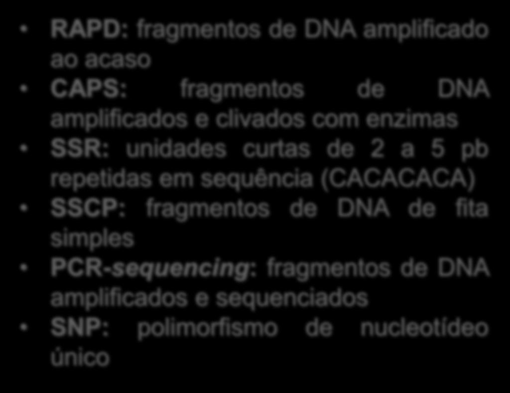 curtas de 2 a 5 pb repetidas em sequência (CACACACA) SSCP: fragmentos