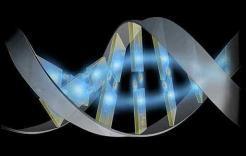 DNA com uma característica fenotípica.