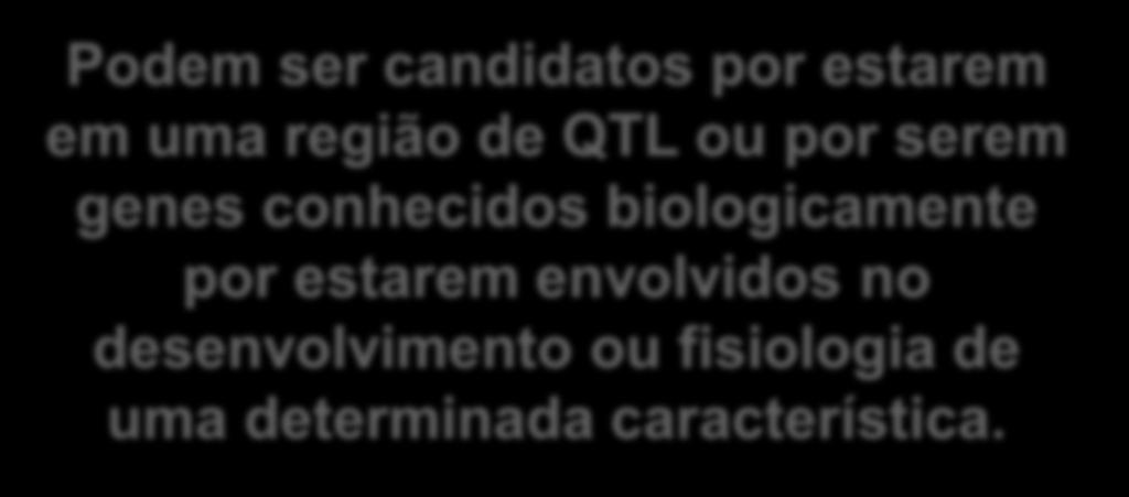 Genes de efeito maior, genes principais ou genes candidatos Gene cuja função foi deduzida por meio de técnicas de genética