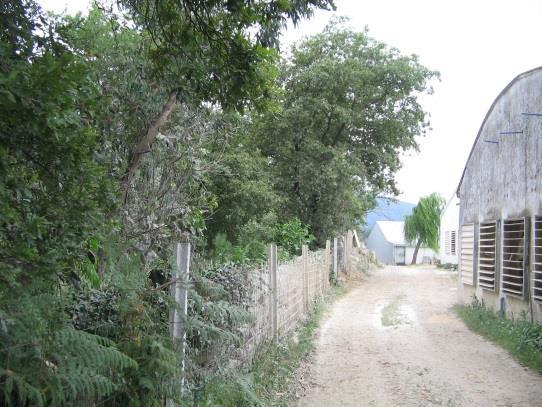 carvalhal na envolvente do acesso à instalação; - florestas abertas e vegetação arbustiva e herbácea. Registo fotográfico Figura 2.