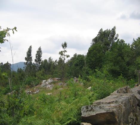 herbácea 3 - Vistas da envolvente, áreas descobertas ou com pouca vegetação.