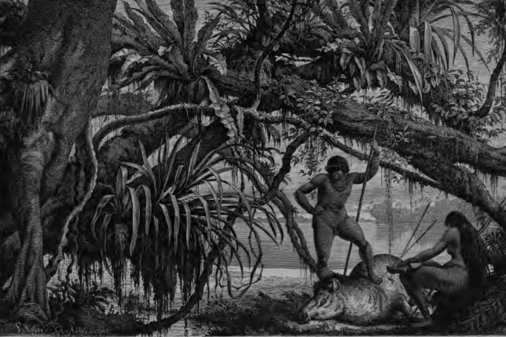 Histórico da atividade de caça The Amazon and Madeira rivers; sketches and