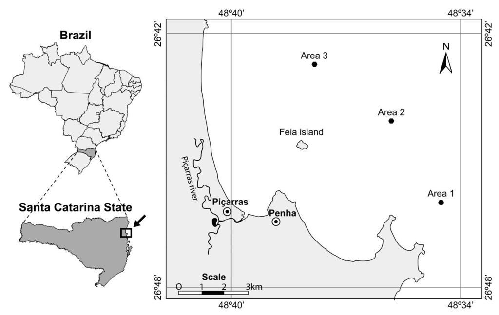 172 J. L. RODRIGUES-FILHO ET AL The biomass per trawl were registered for seabob shrimp and fishes belonging to the genus Stellifer were used to estimate monthly CPUE W means in biomass (kg/h).