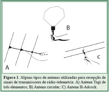 Antenas Capta e amplifica o sinal emitido pelo transmissor Portátil,