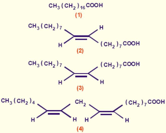 c) o composto 1 é um ácido carboxílico de cadeia insaturada. d) o composto 2 é um ácido graxo de cadeia aberta contendo uma dupla ligação (cis).