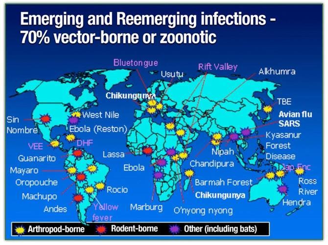 A importância das zoonoses no