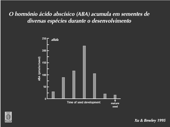 REVERSÃO DO METABOLISMO DE DESENVOLVIMENTO Níveis crescentes de ABA durante o desenvolvimento e queda ao final da maturação Durante a fase de desidratação: Redução