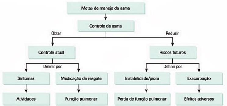 Diferenciação entre medicação de alivio, preventiva ou de controle da doença e para tratamento das exacerbações. Reconhecimento de sinais precoces de gravidade das crises.