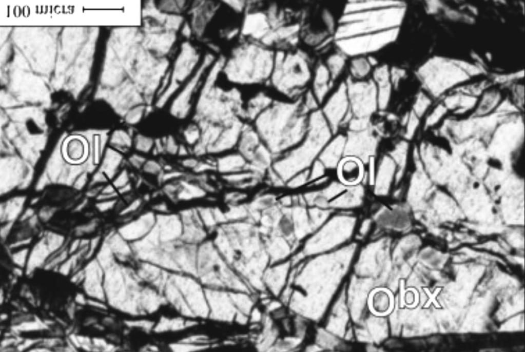 inclusões de olivina (Ol) com contatos abaulados, em rochas da SARM. Figura 5.