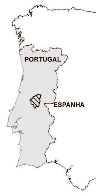 Continental nas últimas duas décadas (1990-2006) têm sido devido à ação dos incêndios florestais e ainda ao aumento do abandono de terras agrícolas e às ações de florestação em geral suportada por