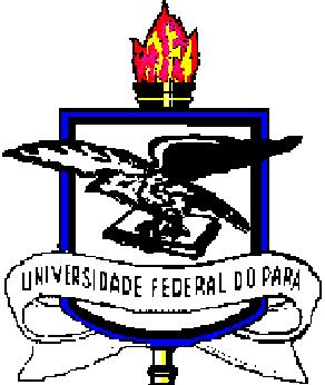 Serviço Público Federal Universidade Federal do Pará Núcleo de Teoria e Pesquisa do Comportamento Programa de Pós-Graduação em Teoria e Pesquisa do Comportamento