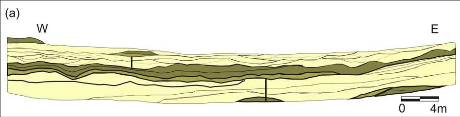 Figura 15: a) Seção-tipo da Formação Resende, localizada no km