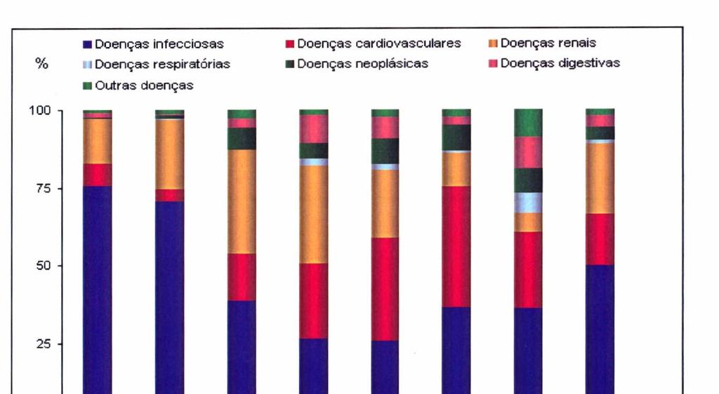 26 Figura 2 - Freqüências dos principais grupos de doenças