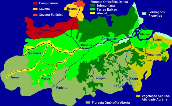 VEGETAÇÃO - Savana e Savana Estépica - Campinaramas - Floresta