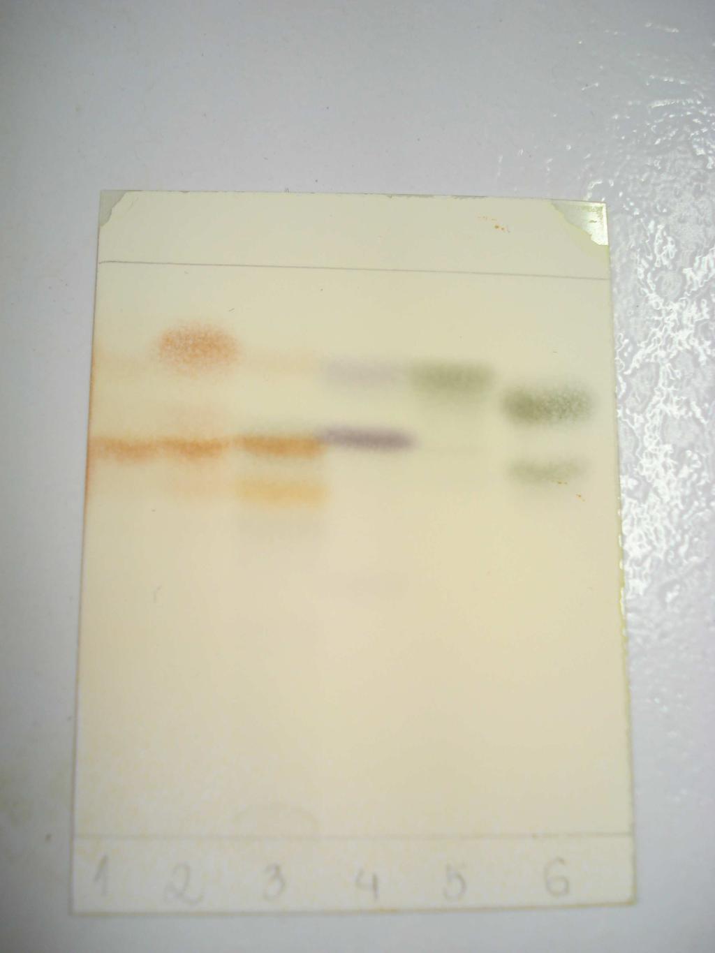 3 Análise das frações OLSx1 a OLSx6 por HPLC com detecção UV As frações provenientes da cromatografia em Sephadex, e o EOP sem fracionamento prévio, foram analisadas por cromatografia líquida de alta