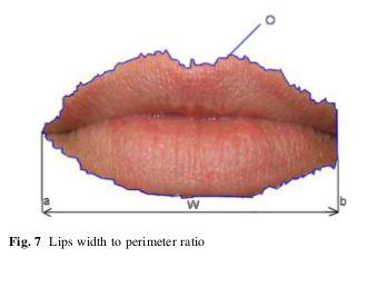 Extração das características Adição de 9 parâmetros próprios para representar os lábios Foram criados baseados no formato dos