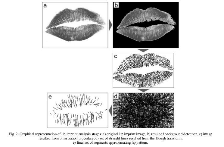 Extração das características Detecção do fundo Imagem é convertida para escalas de cinza Separação da impressão labial do fundo Binarização Imagem