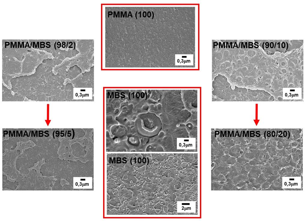 Figura 4: Morfologia dos polímeros puros e da blenda PMMA/MBS.