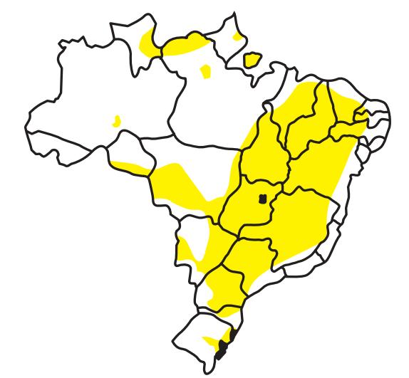 15 Figura 5: Distribuição da espécie Crotalus durissus no território brasileiro (em amarelo) (BRASIL, 2001).