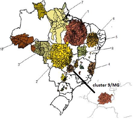 Definidos pelo Ministério da Saúde, os 10 maiores clusters do Brasil incluem 1173 municípios com 17,5% da população do país e concentram 53,5% dos casos novos diagnosticados de 2005 a 2007.