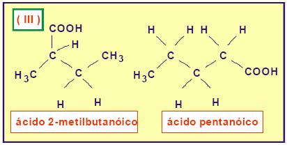 3) Os ácidos representados em (III) são diferentes; portanto, não apresentam  Está(ão)