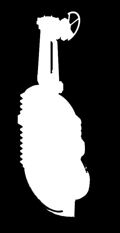 10 ISO-10434/ API 600 / ASME B16.