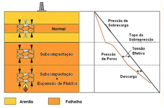 secundários, que serão vistos com mais detalhes a seguir. A Figura 2.4 exemplifica a influência dos mecanismos primários e secundários na pressão de poros. 22 Figura 2.