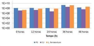 52 que a contaminação com as linhagens rugosas (07, 36 e 52) ocasionou um decréscimo significativo na eficiência fermentativa (Figuras 6A, 6B